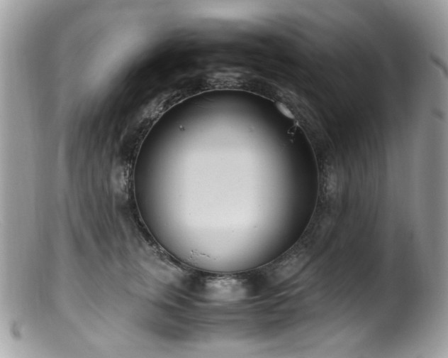 X0000099400759200805151705