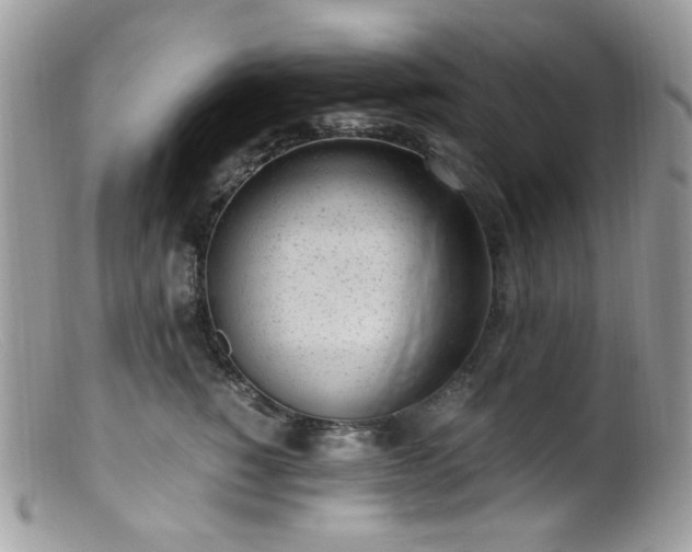 X0000099400760200805151705