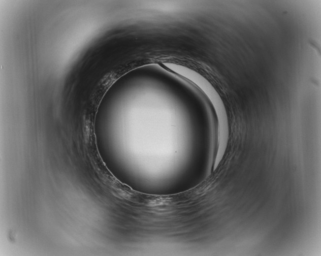 X0000099400761200805151705