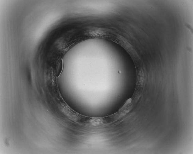 X0000099400762200805151705