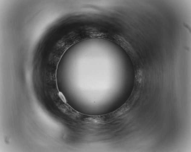 X0000099400763200805151705