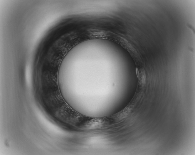 X0000099400764200805151705