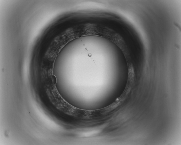 X0000099400765200805151705