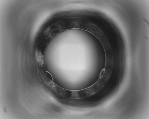 X0000099400766200805151705