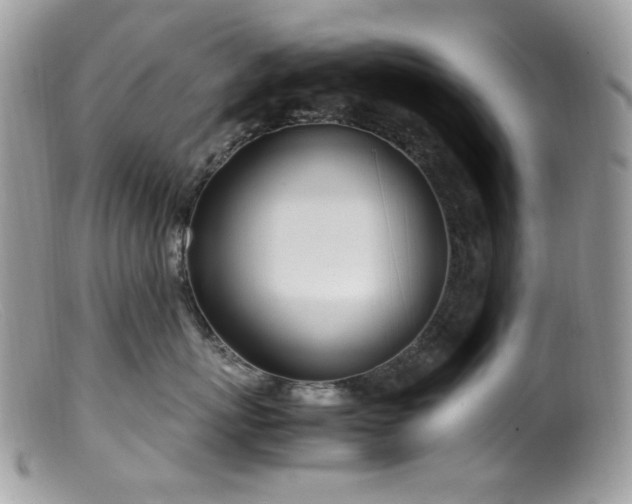 X0000099400767200805151705