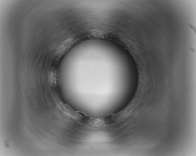 X0000099400768200805151705