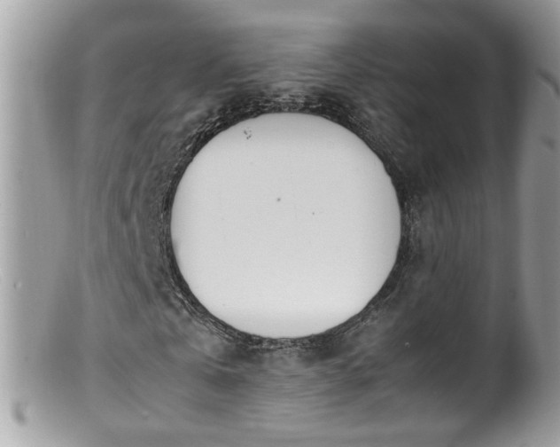 X0000099400769200805151704