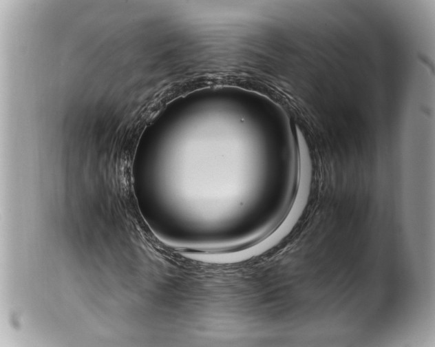 X0000099400770200805151704