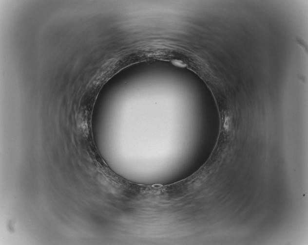 X0000099400771200805151704