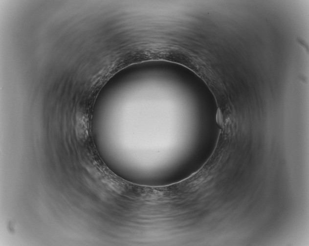 X0000099400772200805151704