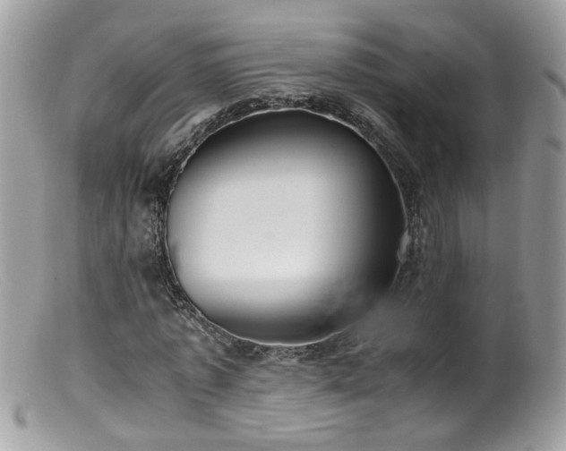 X0000099400773200805151704