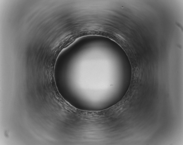 X0000099400774200805151704