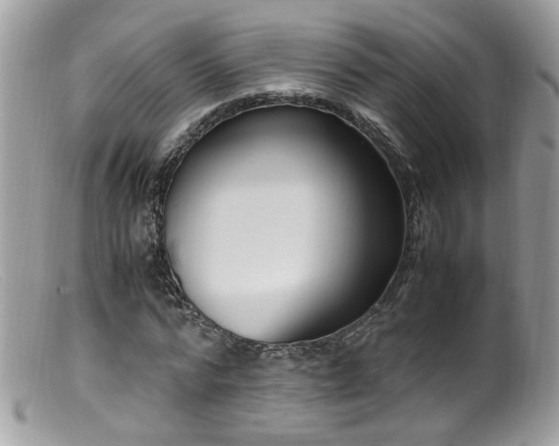 X0000099400776200805151704