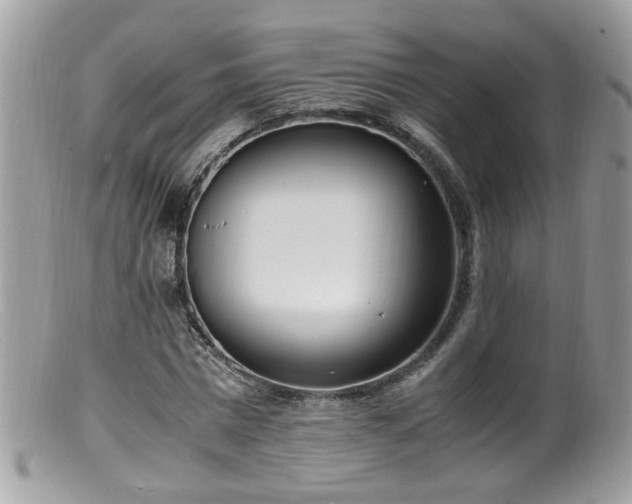 X0000099400777200805151704