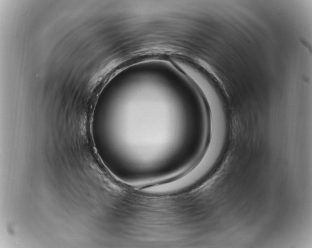 X0000099400778200805151704