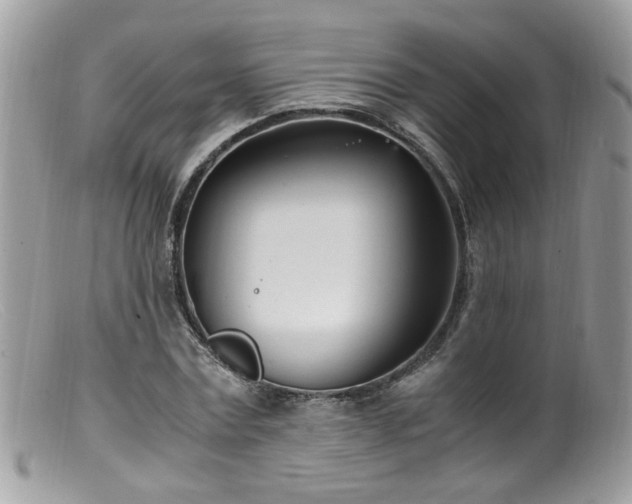 X0000099400779200805151704