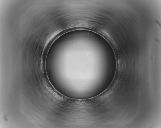 X0000099400780200805151704