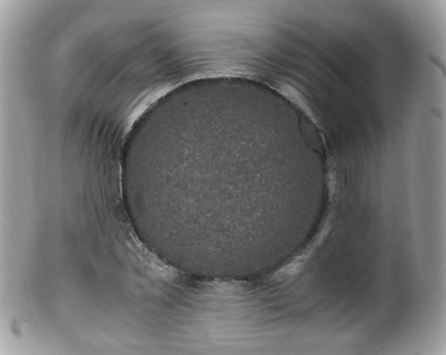 X0000099400781200805151704