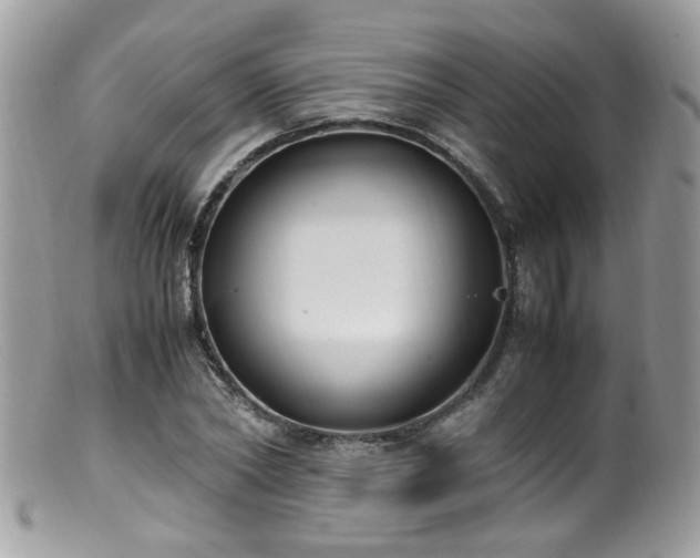 X0000099400782200805151704