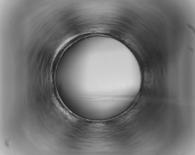 X0000099400784200805151704