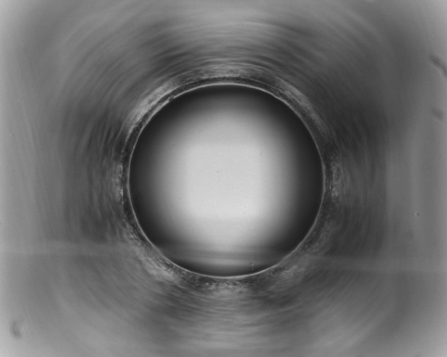 X0000099400786200805151704