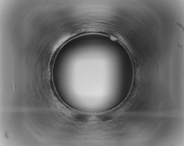 X0000099400787200805151704