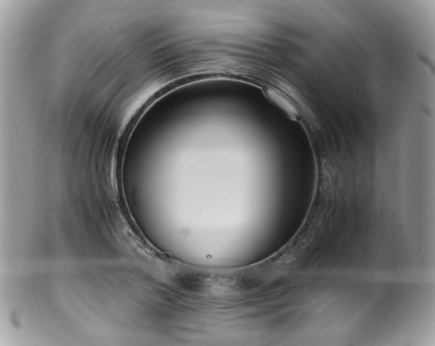 X0000099400788200805151704