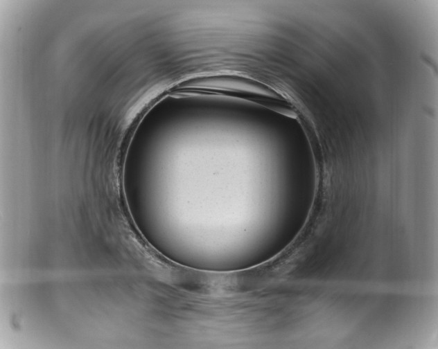 X0000099400789200805151704