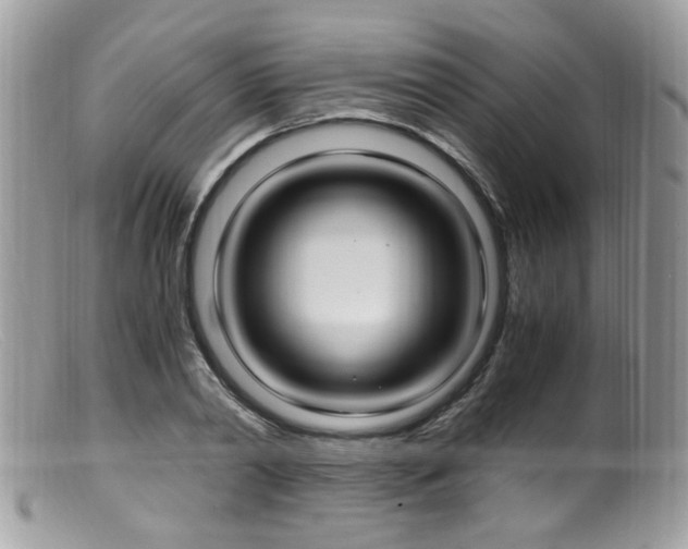 X0000099400790200805151704