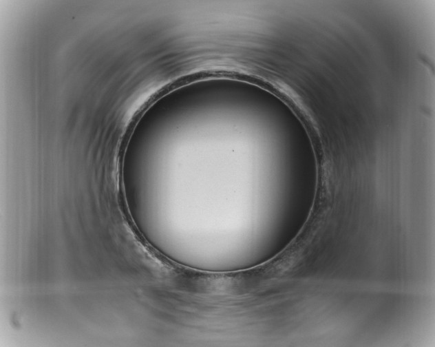 X0000099400791200805151704