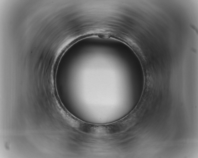 X0000099400792200805151704