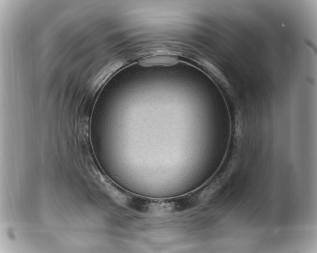 X0000099400793200805151704