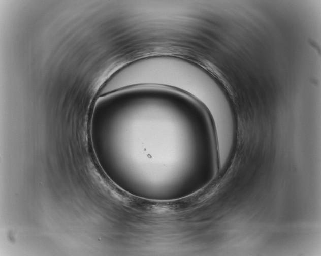 X0000099400794200805151704