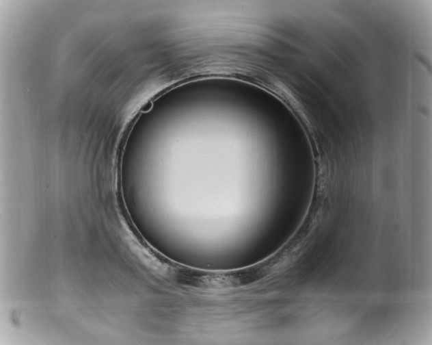 X0000099400795200805151704