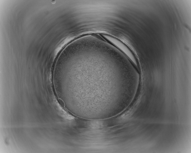 X0000099400797200805151704