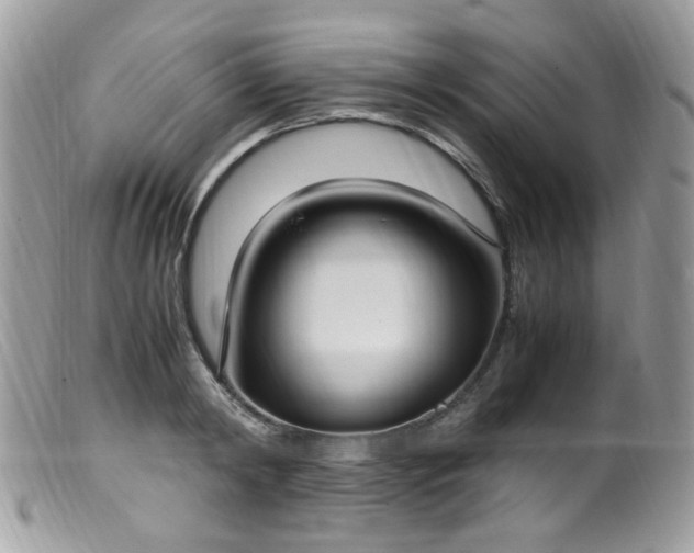 X0000099400798200805151704