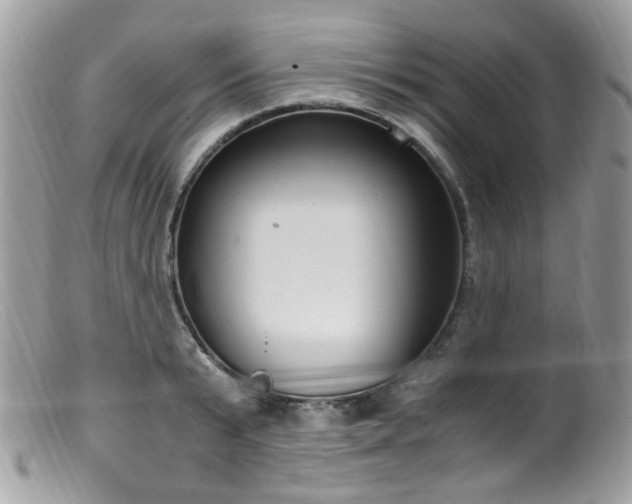 X0000099400799200805151704