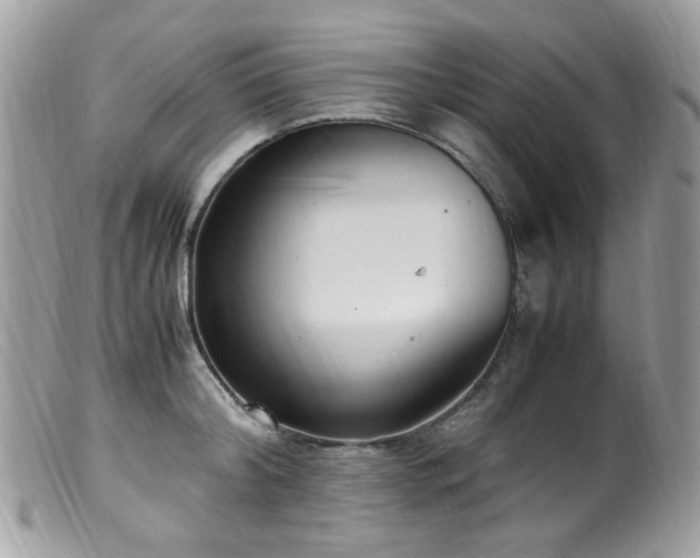 X0000099400804200805151704