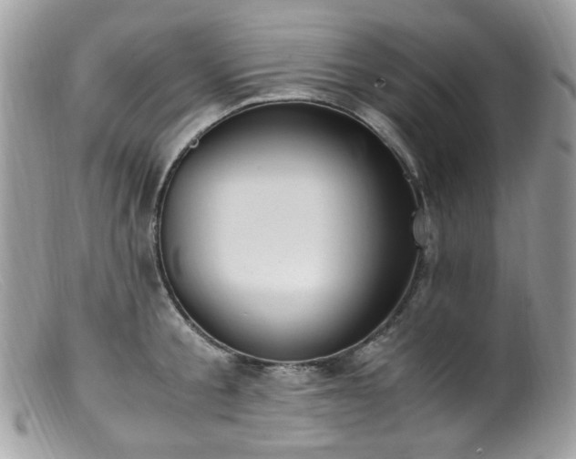 X0000099400805200805151704