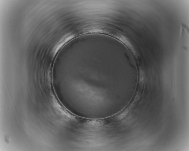 X0000099400806200805151704