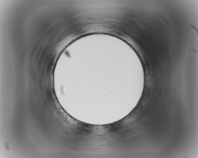 X0000099400807200805151704