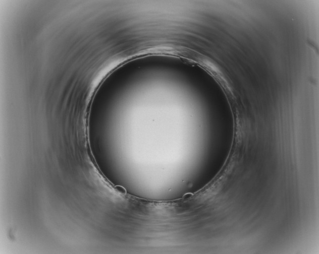 X0000099400808200805151704