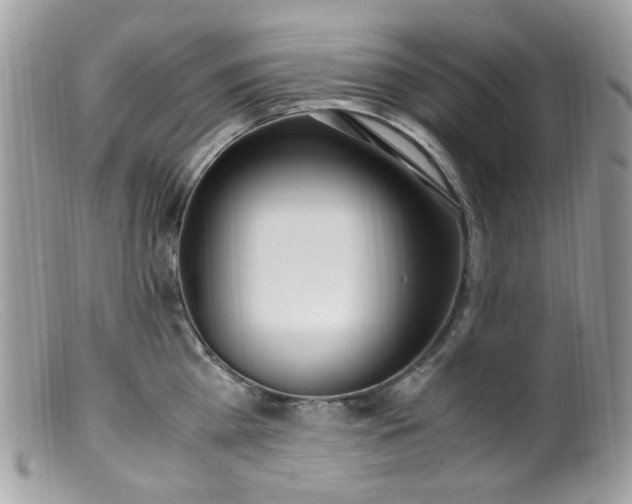 X0000099400809200805151704