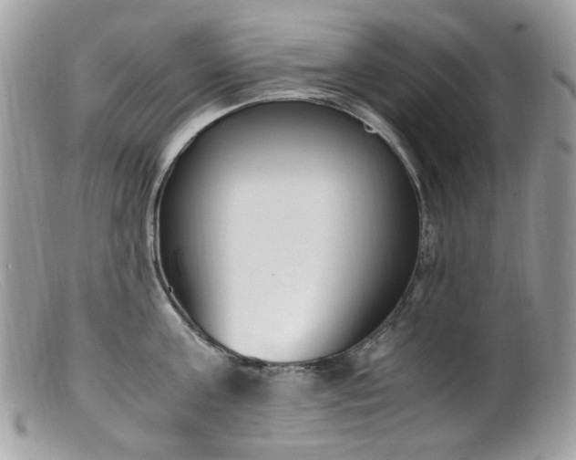 X0000099400811200805151704