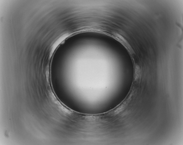 X0000099400812200805151704