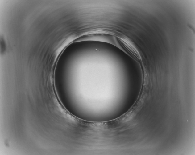 X0000099400813200805151704