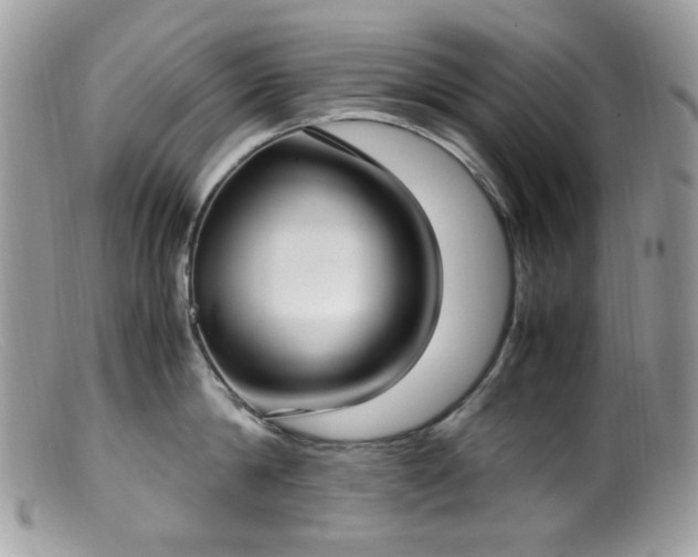 X0000099400814200805151704