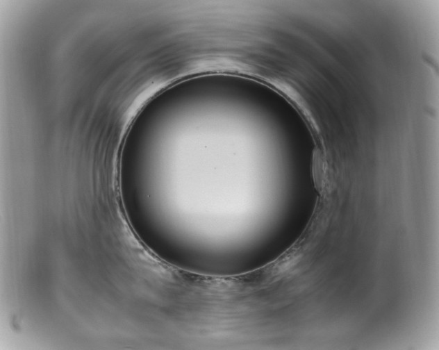 X0000099400815200805151704