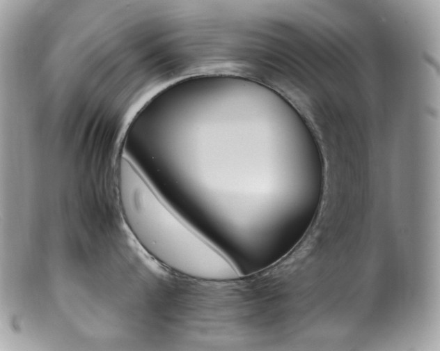 X0000099400816200805151704