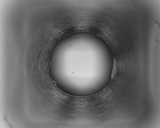 X0000099400817200805151703